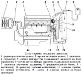 Устройство системы охлаждения Уаз Хантер, модели УАЗ-315195 и УАЗ-315196, с двигателем ЗМЗ-409, особенности и обслуживание