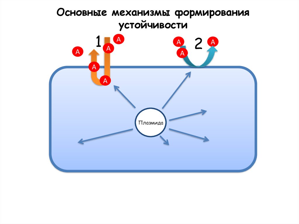 Общие механизмы. Основные механизмы. Базовые механизмы. Стандартный механизм. Рисунок 2. механизмы формирования резистентности.