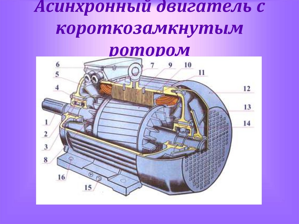 Схема асинхронной машины с короткозамкнутым ротором