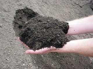 грунт почва