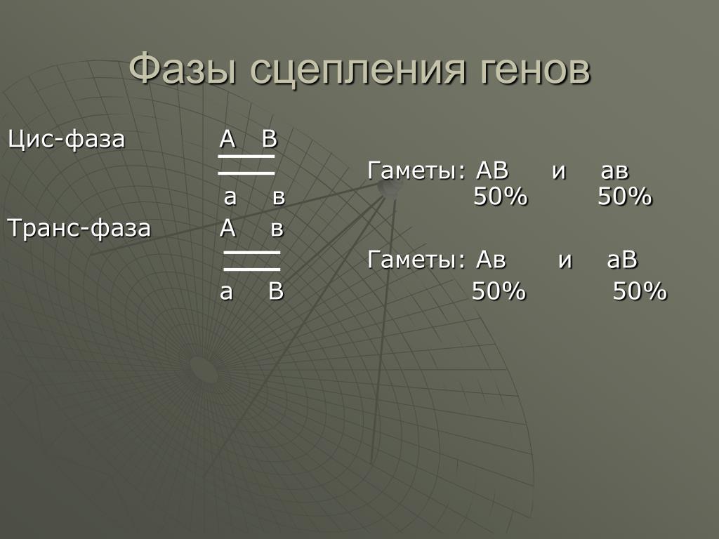 Гена находится в. Цис и транс сцепление генов. Понятие о цис- и транс- сцеплении генов.. Цис и транс положение генов. Цис и транс положение генов в группах сцепления.