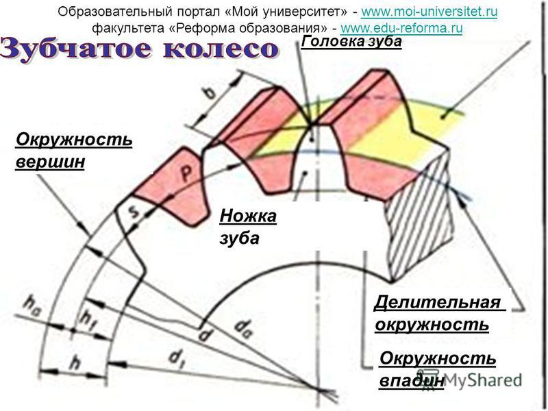 Делительная окружность зубчатого