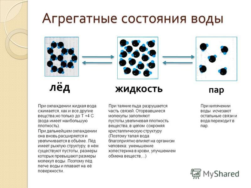 В каком состоянии жидком