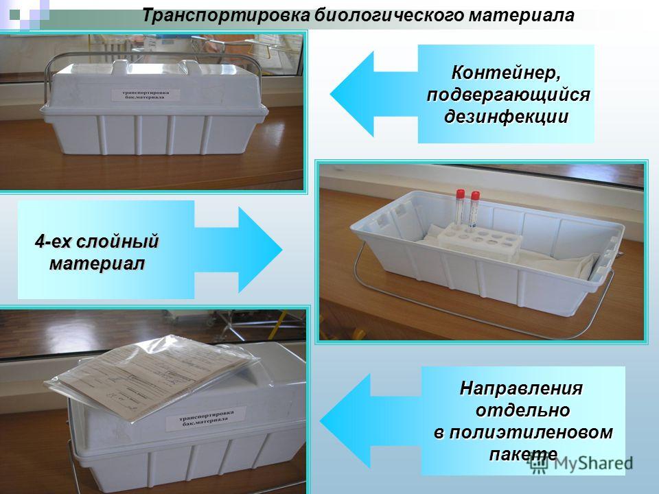 Правила доставки биоматериала