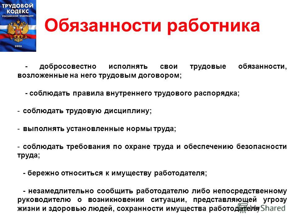 Сотрудники предприятия инструкция. Права и обязанности работника. Трудовое законодательство. Трудовой кодекс требования. В трудовом договоре про должностные обязанности сотрудника.