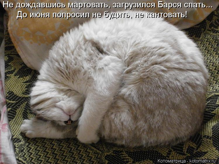 Меня Будить