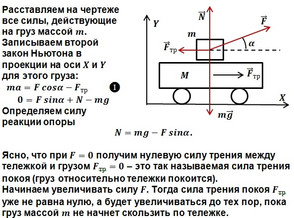 У пшеницы плотный колос a доминирует над рыхлым a установи соответствие между схемой скрещивания