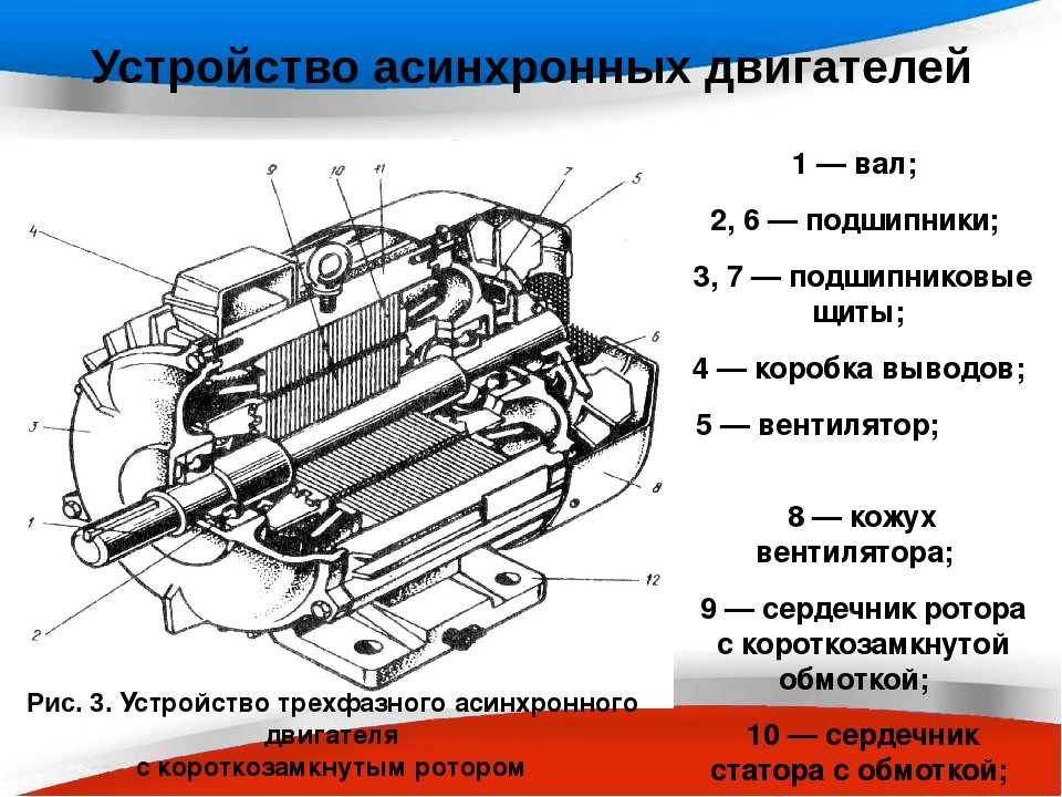 Асинхронная разработка. Устройство асинхронного электродвигателя схема. Устройство асинхронного двигателя с короткозамкнутым ротором схема. Устройство ротора асинхронного двигателя с короткозамкнутым ротором. Асинхронный электродвигатель с короткозамкнутым ротором схема.