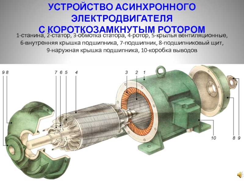 Устройство однофазного асинхронного двигателя. Асинхронные электродвигатели с короткозамкнутым ротором вл 80с. Асинхронный электродвигатель АЭ 92-402. Асинхронный двигатель с короткозамкнутым ротором 4а 75 КВТ. Устройство статора асинхронного электродвигателя.