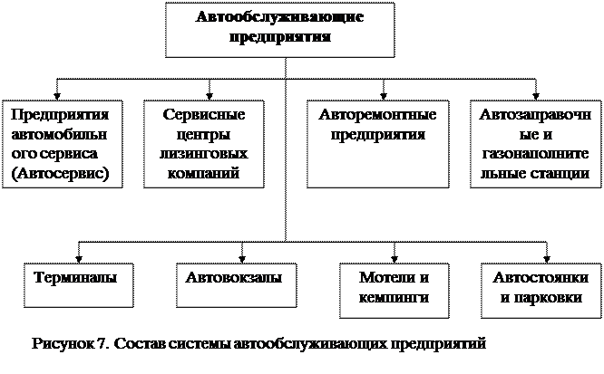 Виды автотранспортных организаций