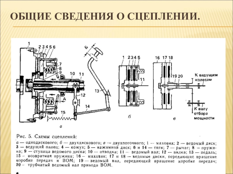 Сцепление виднеется усеянный