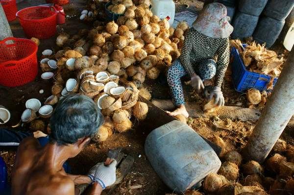 Азиатские работника, кокос, копра, материал, Дельта Меконга — стоковое фото