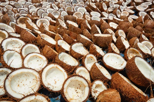 Сушка кокосы, Керала, Индия и Южная — стоковое фото