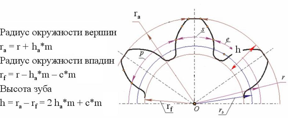 Определяют величину радиуса