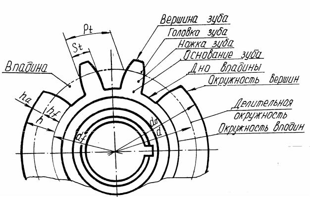 Чертеж зуба шестерни